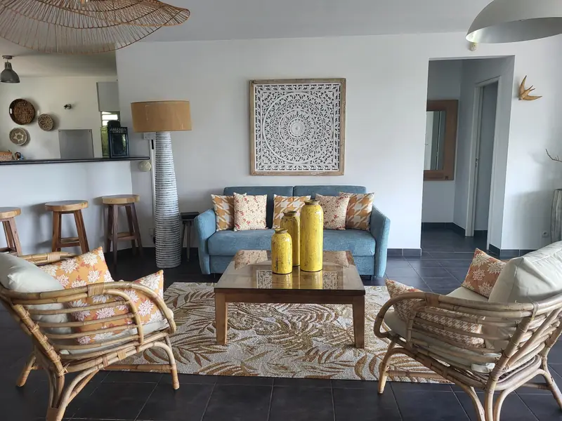 Séjour décoré avec goût
