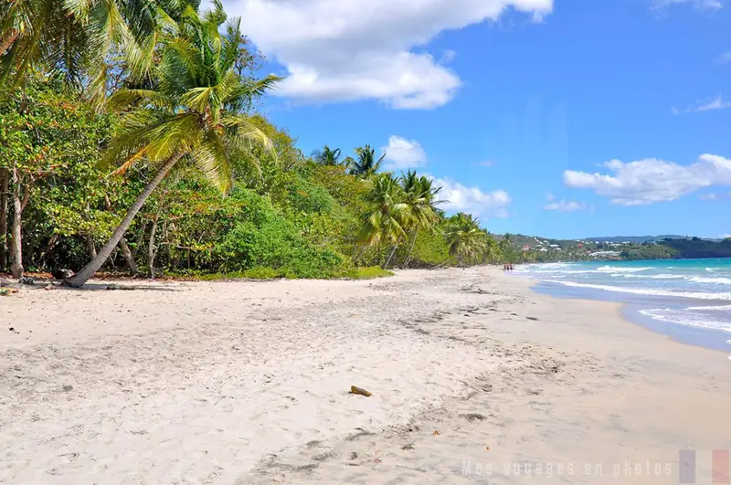 Plage du Diamant