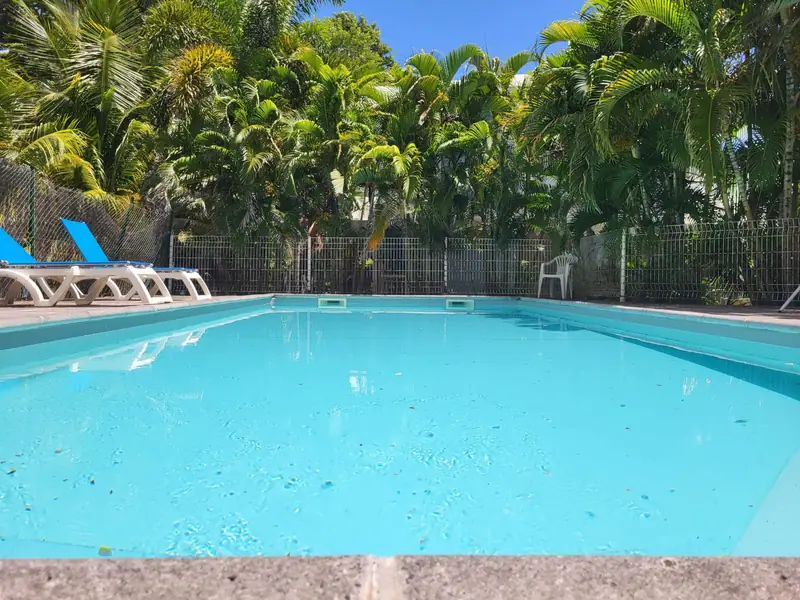 Piscine entourée de cocotiers