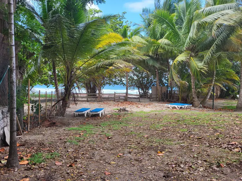 Le jardin s'arrête là où la plage commence