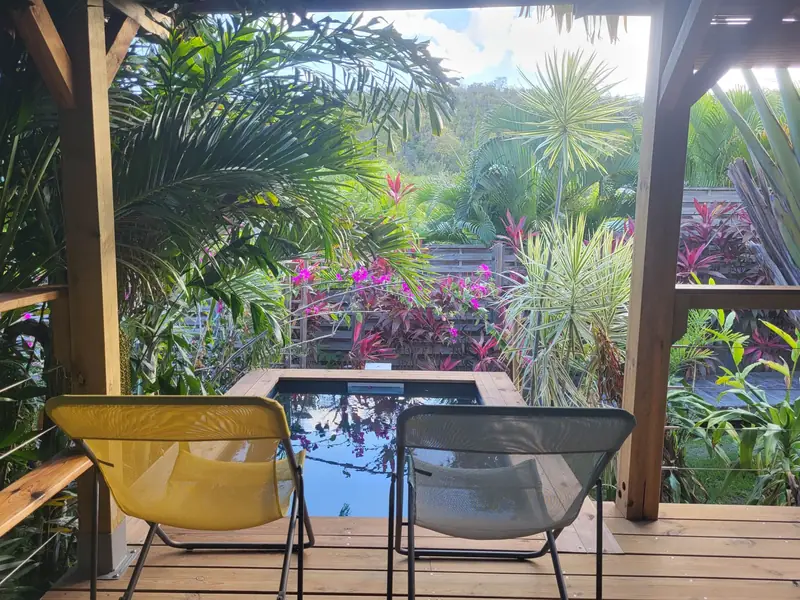 Terrasse face au jardin tropical